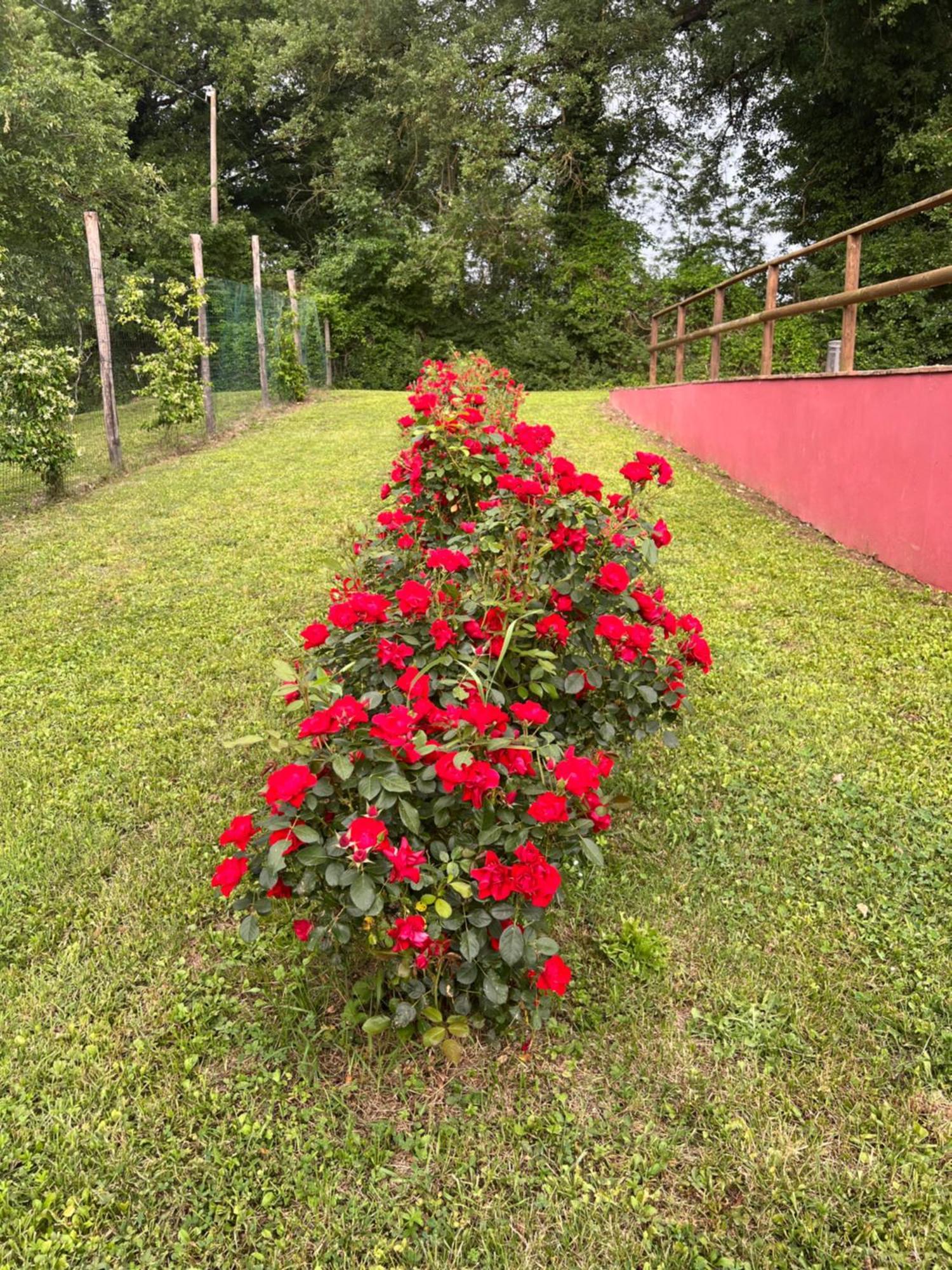 Villa Magda Todi Dış mekan fotoğraf