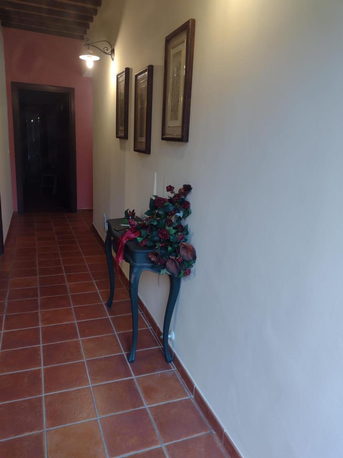 Villa Magda Todi Dış mekan fotoğraf